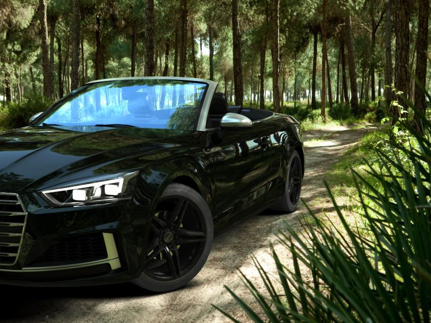 XRT|Black Glossy 19