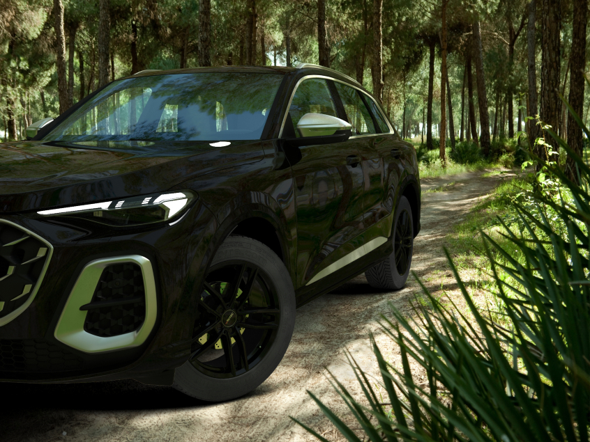 MERCADOR (MC)|Schwarz 19