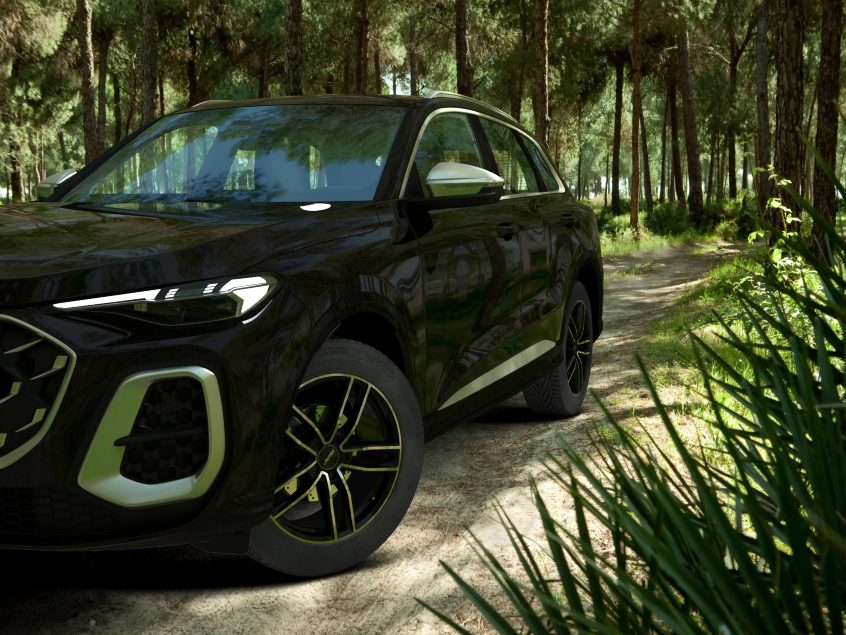 MERCADOR (MC)|Schwarz Poliert 19