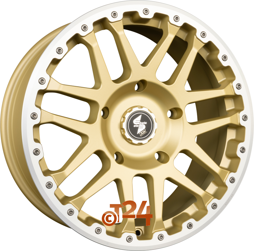 COMBAT CV|Gold Matt Lip + Cap Polish 17