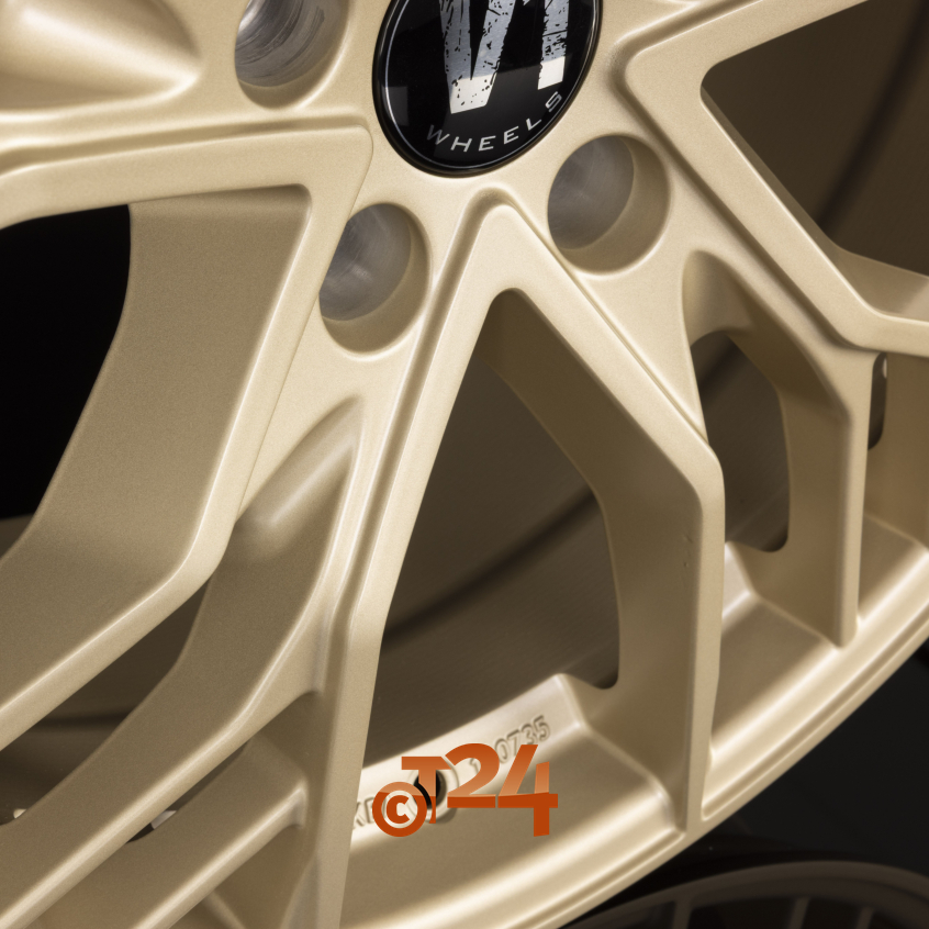 V7|Light Champagner 19