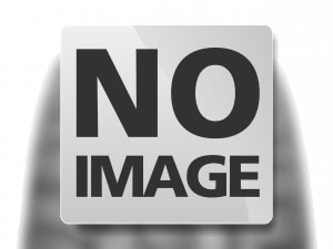 KENDA KR605 235/55ZR18 100W