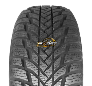 STARMAXX POLAR 205/55 R16 91 H