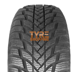 STARMAXX POLAR 205/55 R16 91 H